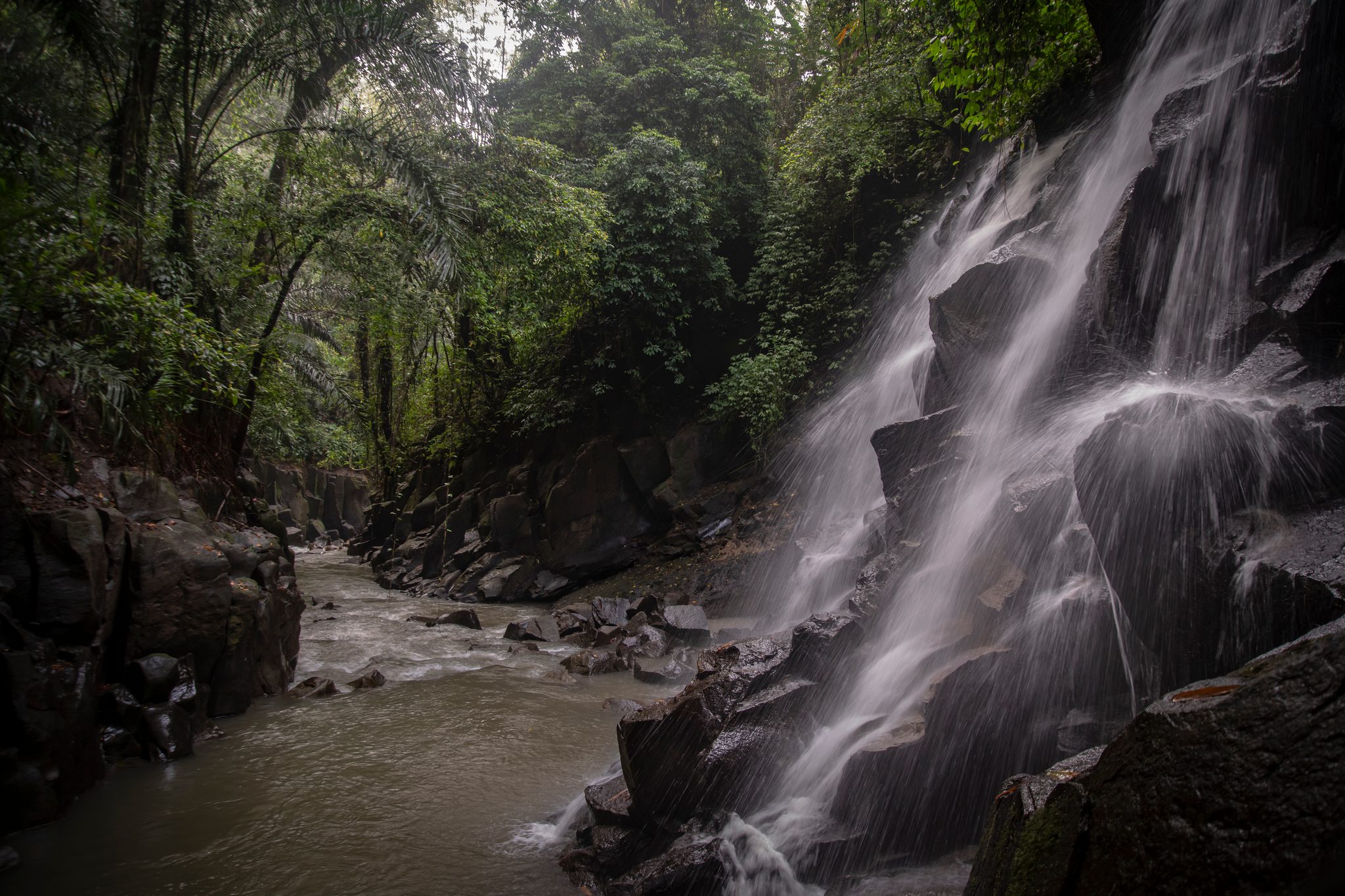 A waterfall pours down a black rock face into a jungle river.