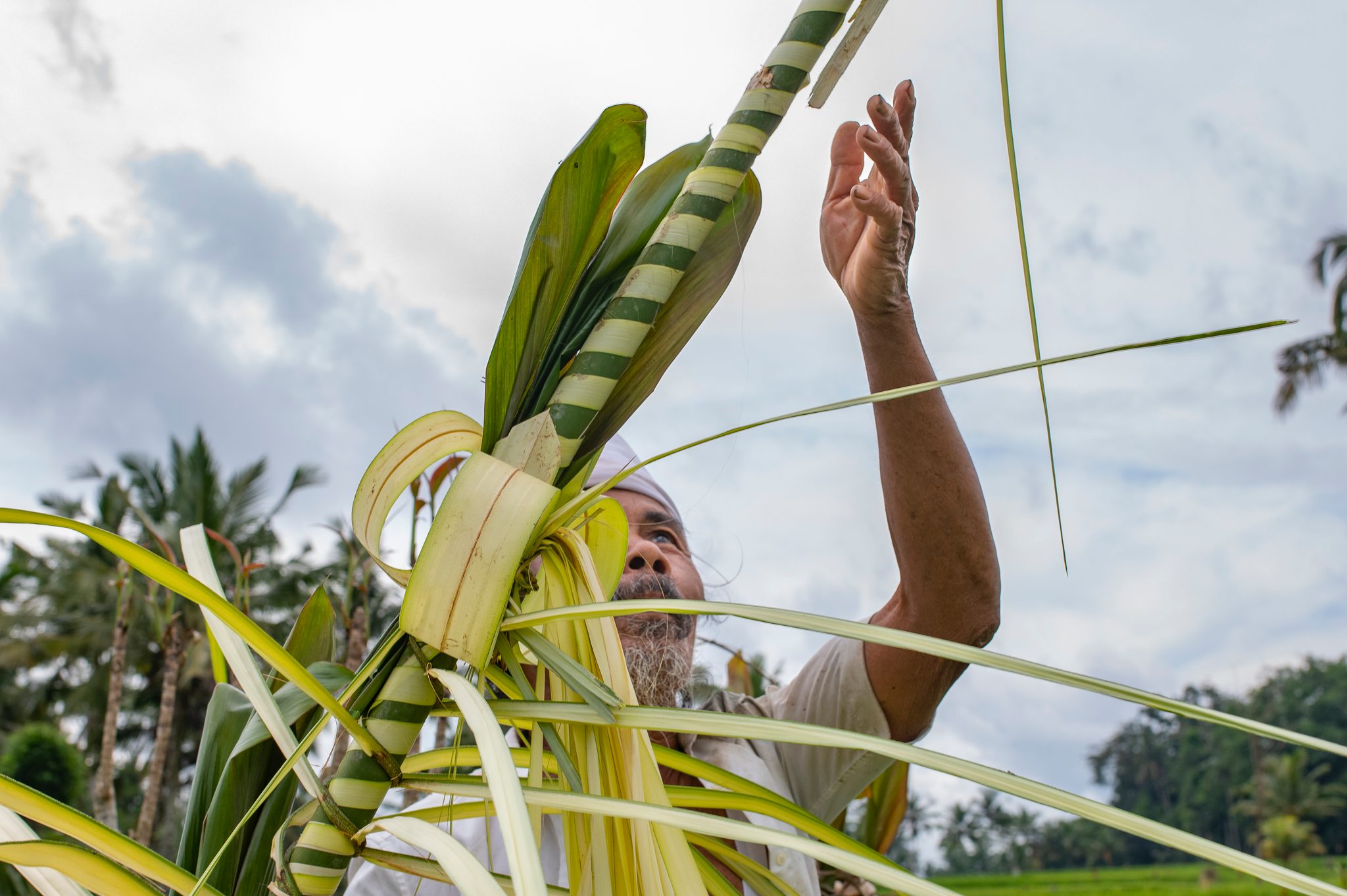 Weathered hands reach up to finish the woven palm leaves.