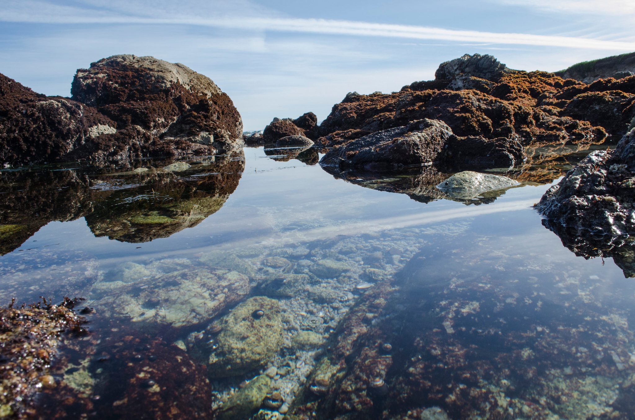 A tide pool mirrors the rocks and the morning sky in Pacific Grove.