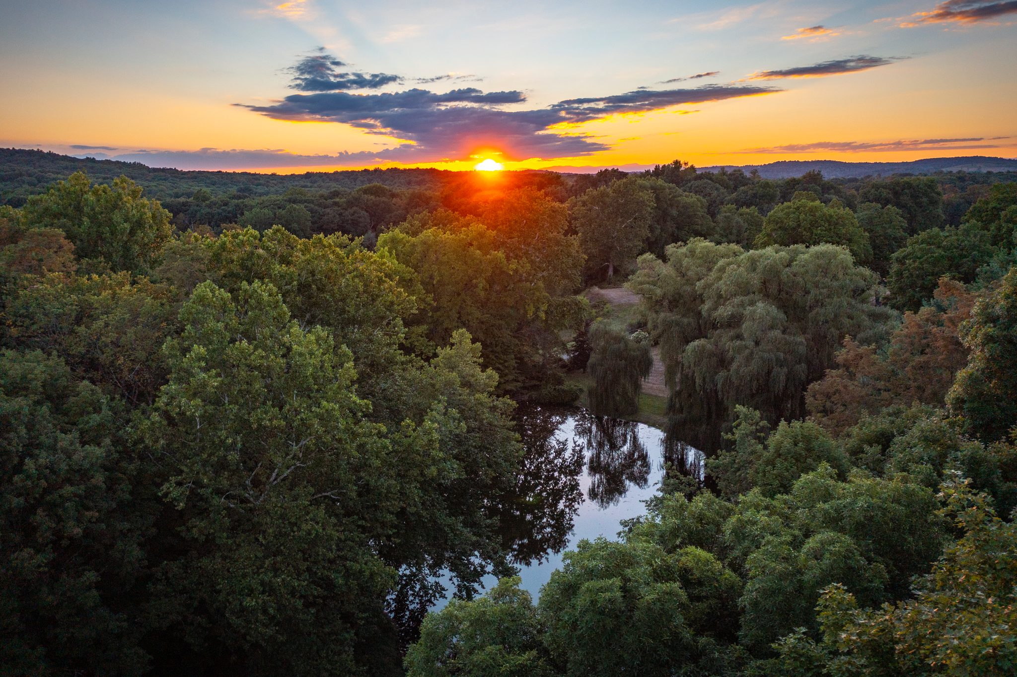 The sun touches the horizon, the pond a dark mirror among the treetops.