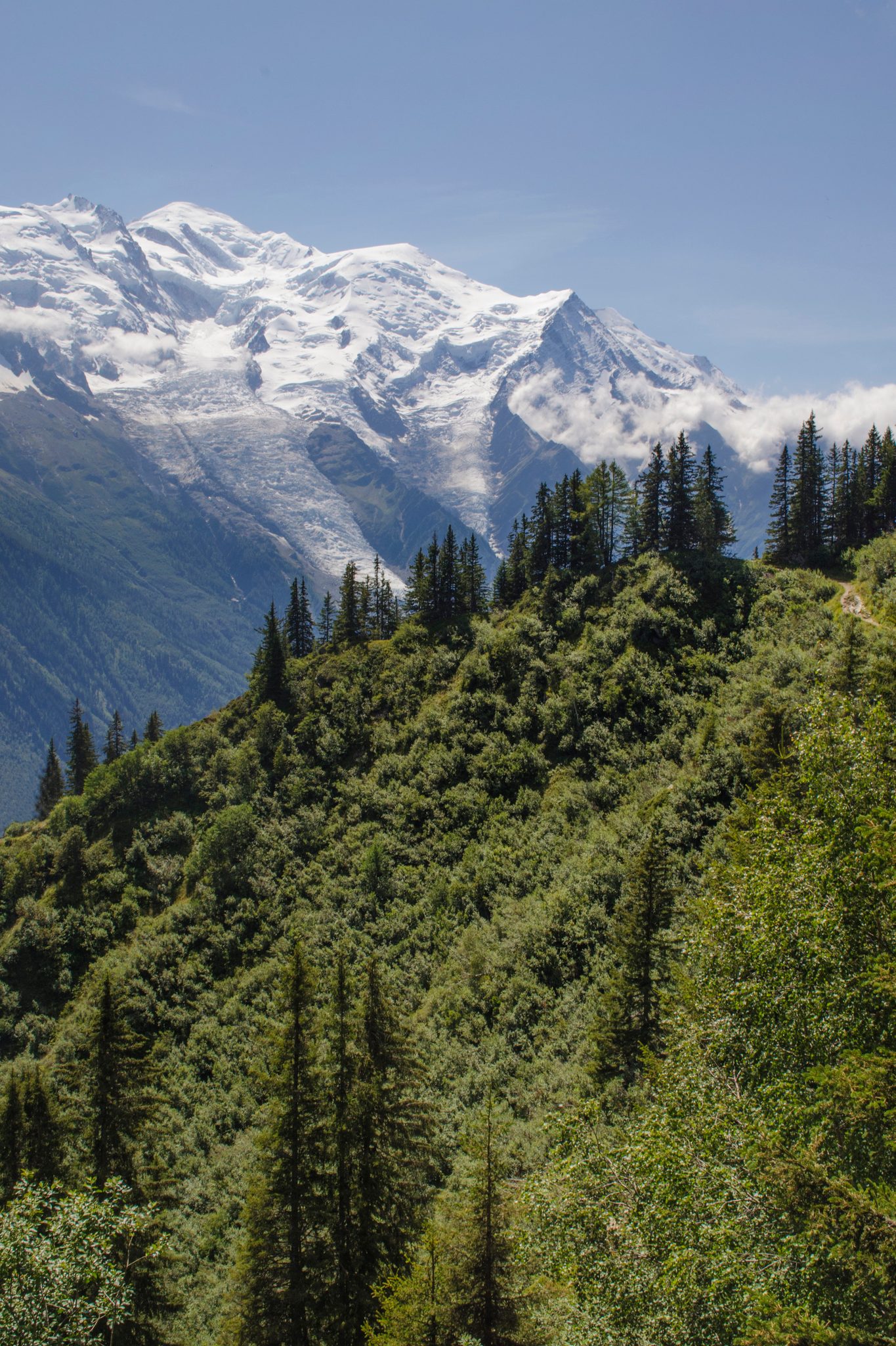 Mont Blanc rises white above the green forested slopes.