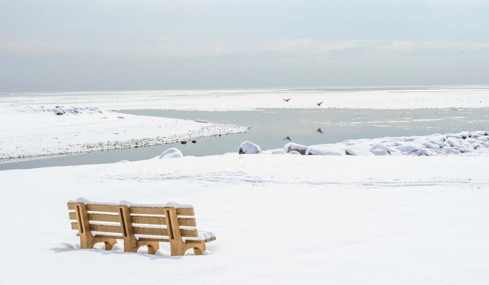 A bench waits on a snow-covered beach, gulls wheeling over the frozen shore.