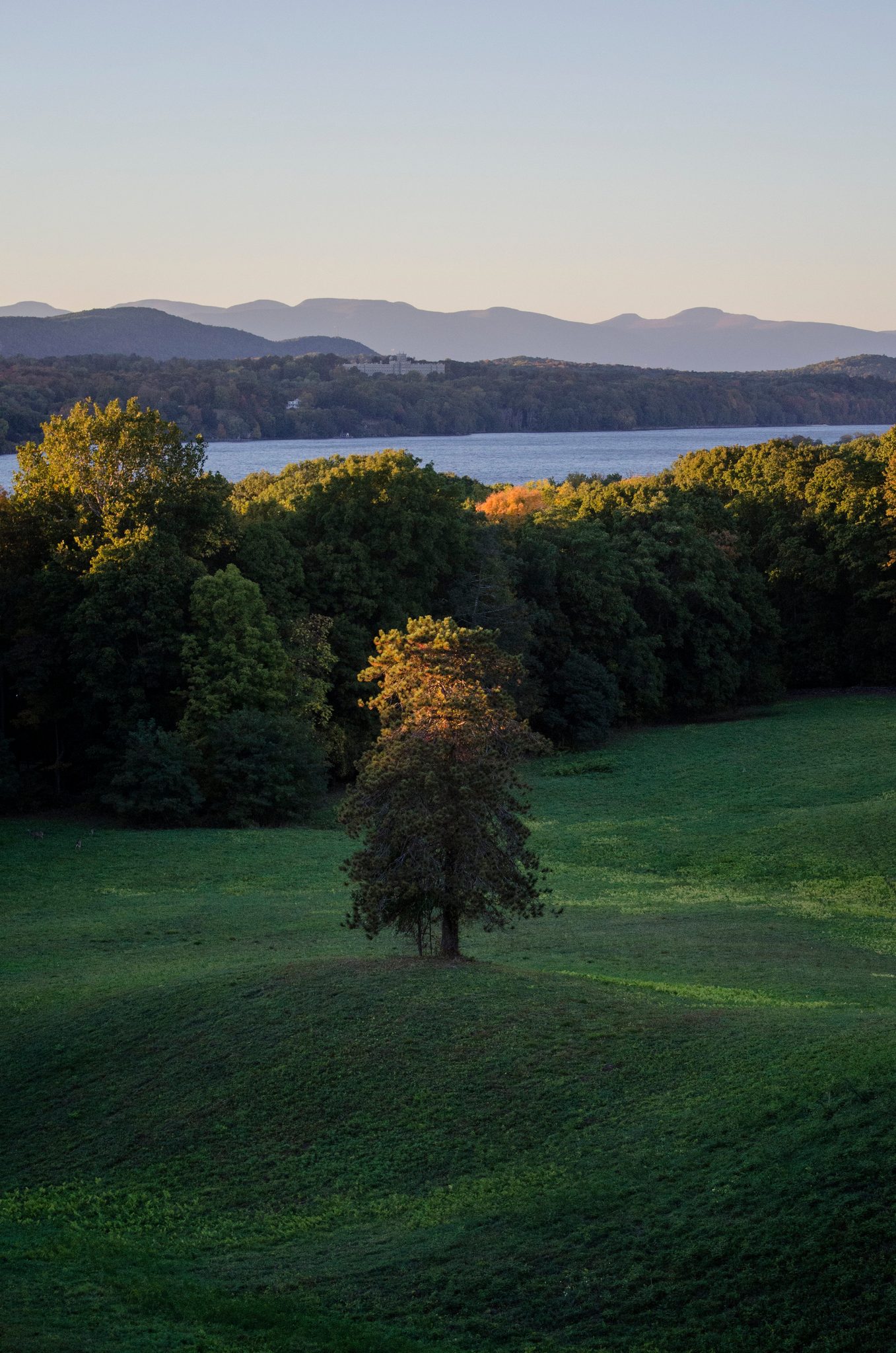 The last light ignites a single tree above the river. Hush, my love, the day is done.