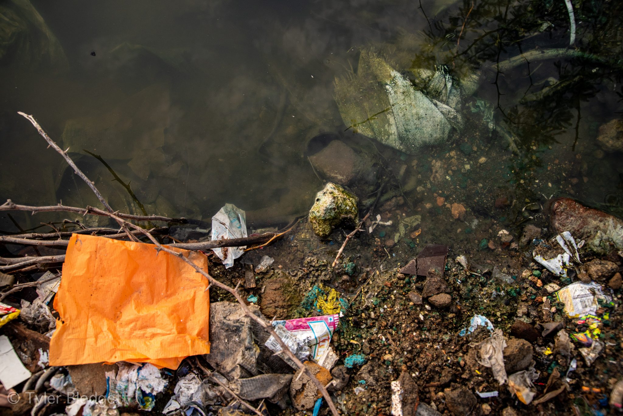 Plastic and rubbish settle into the shallows, an orange bag caught among the branches.