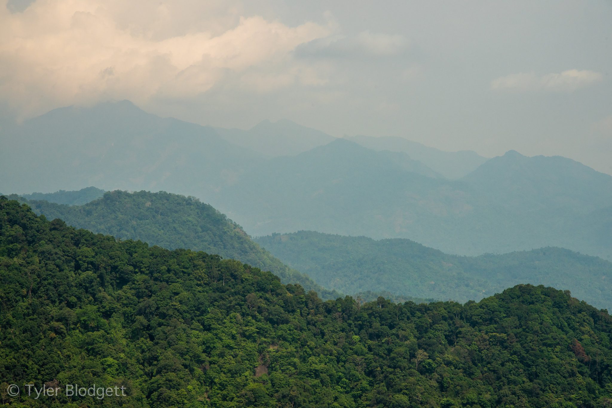 Blue ridges fold one behind another into the haze.