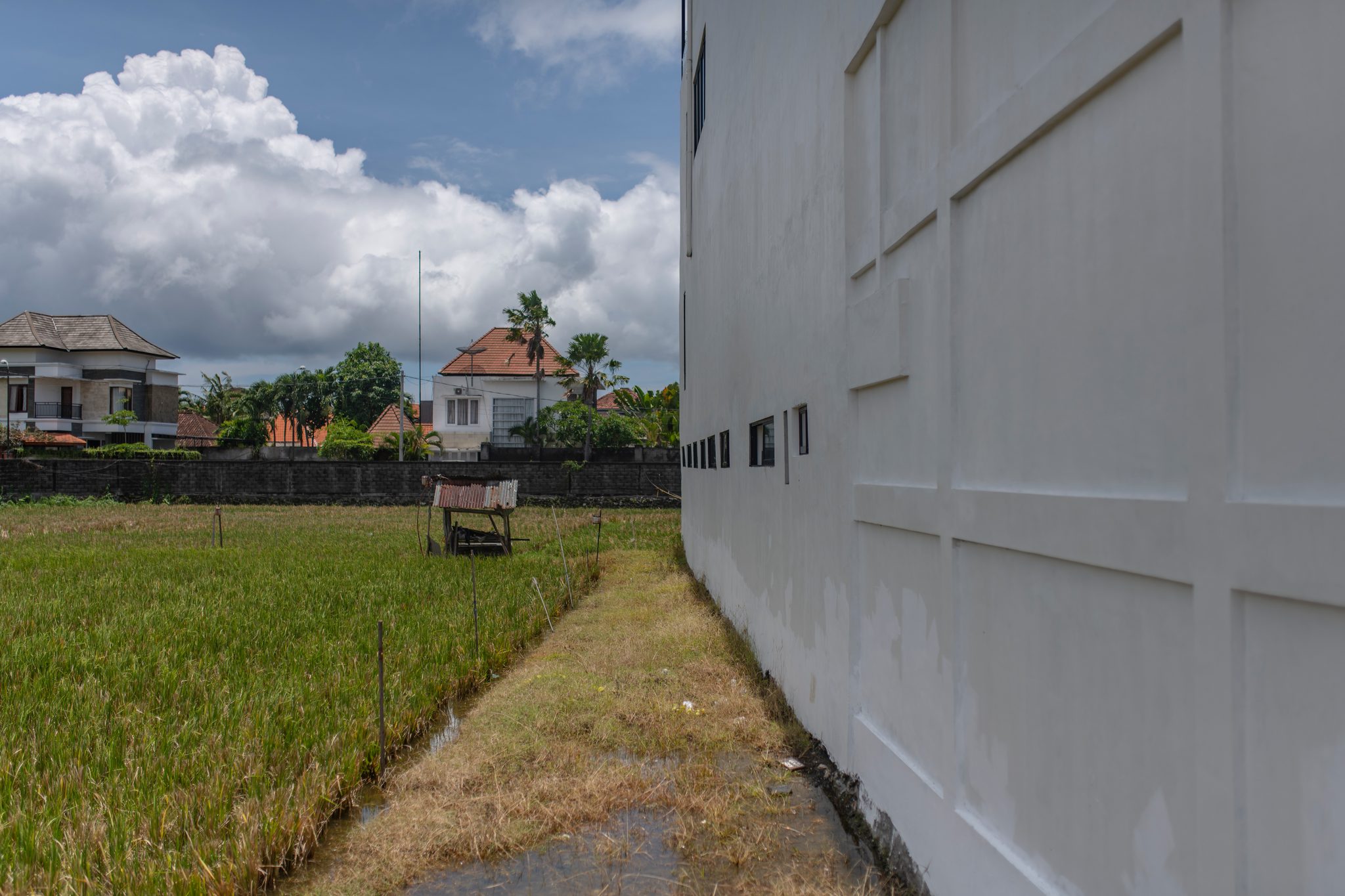 A narrow strip of rice field runs between a tall white wall and the villas.