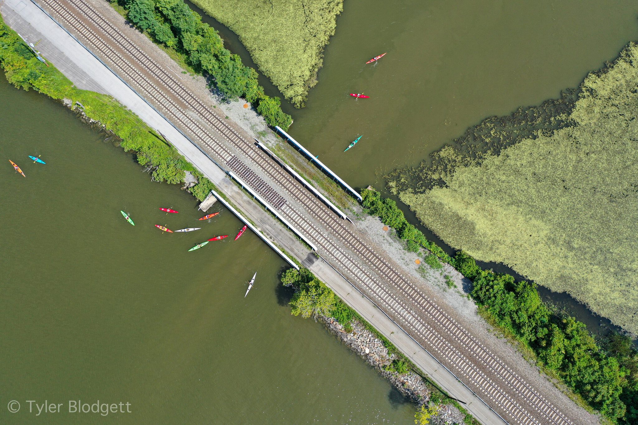 From above, a scatter of kayaks gathers where the railroad crosses the marsh.