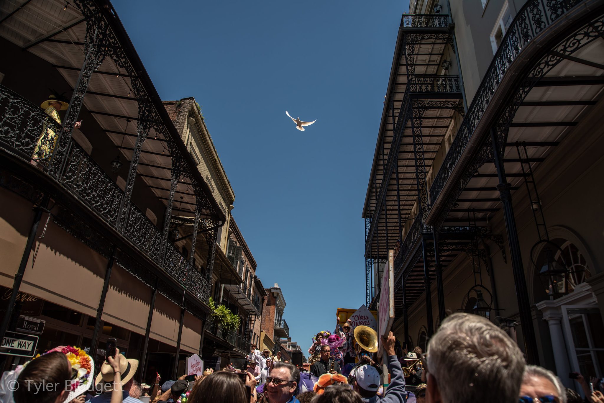 A single dove crosses the strip of sky between iron balconies, high above the Easter crowd.