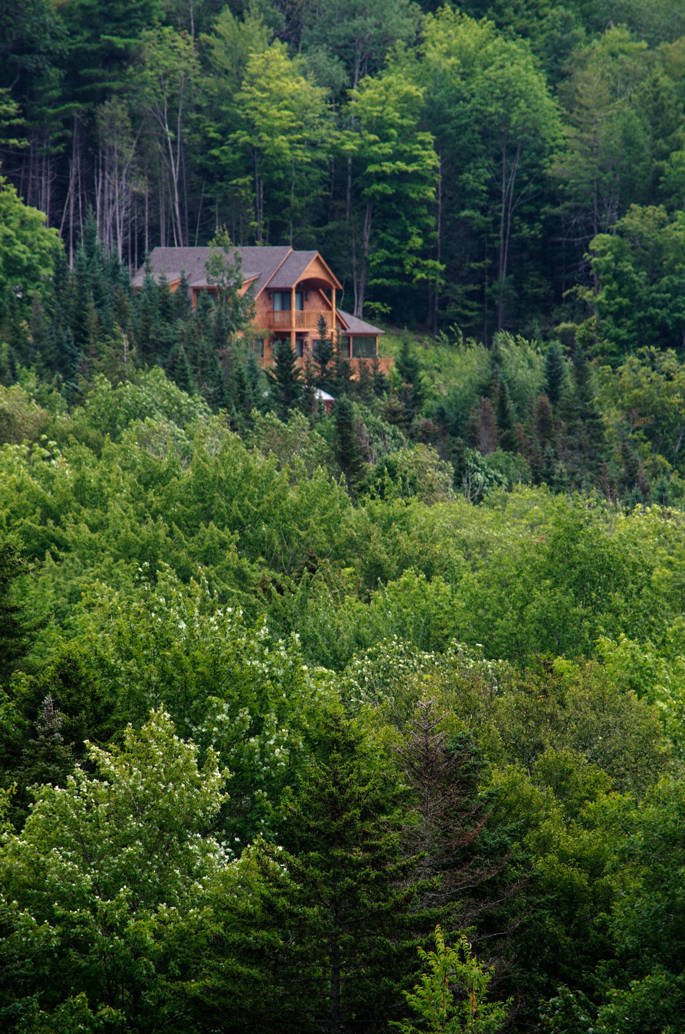 A log house perches on a hillside above a sea of green trees.