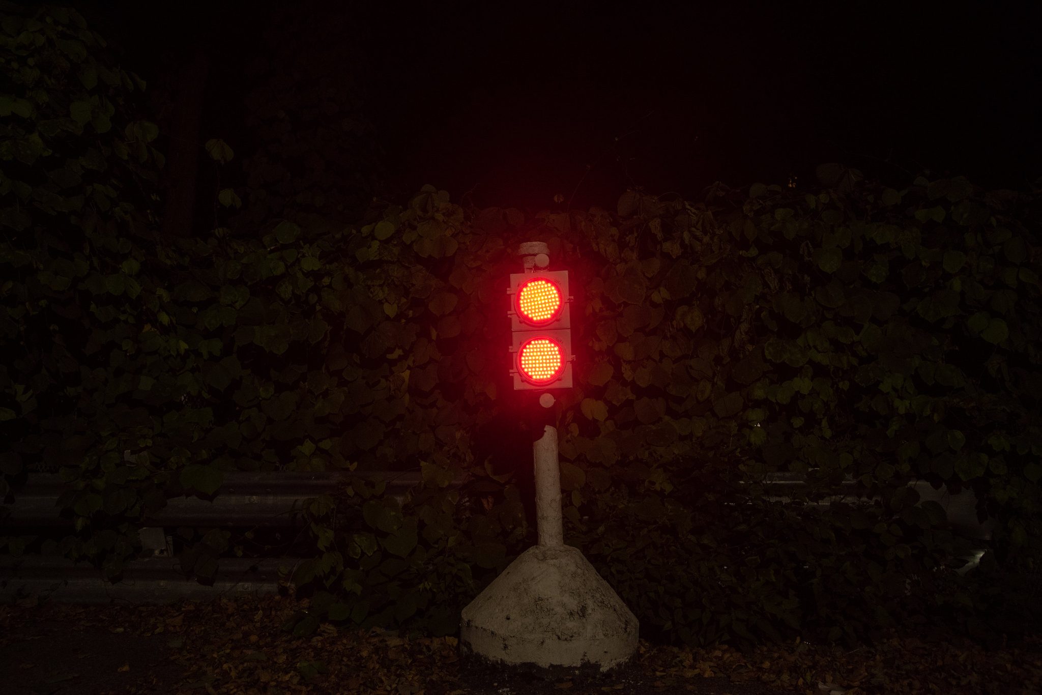 A tiny traffic light glows red in the hedges, stopping no one.