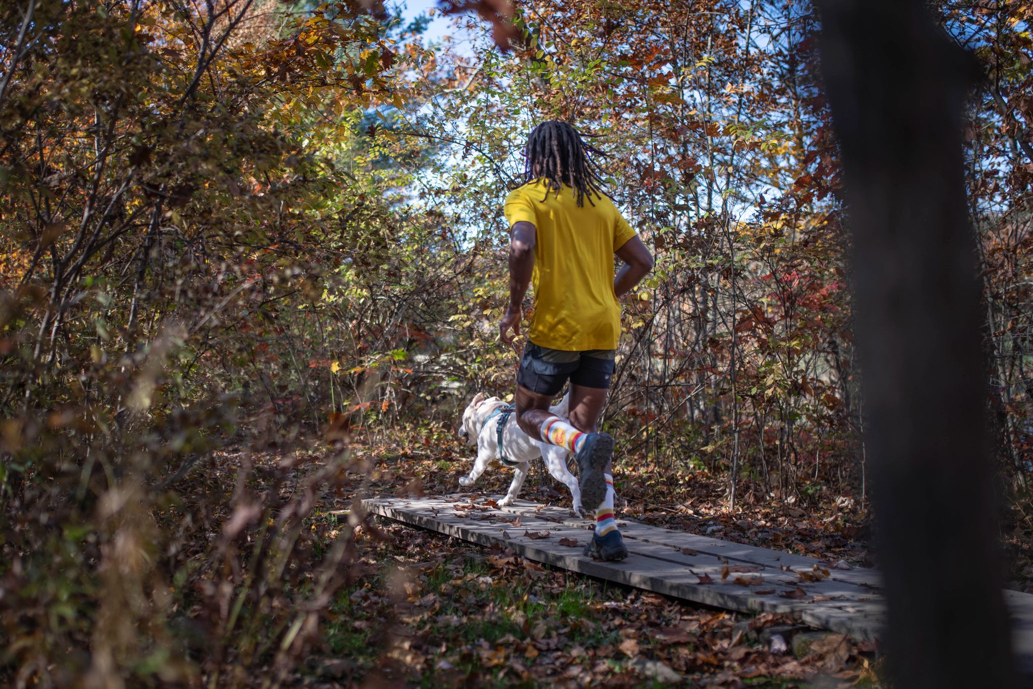 Runner and dog race off along the boardwalk into the leaves.