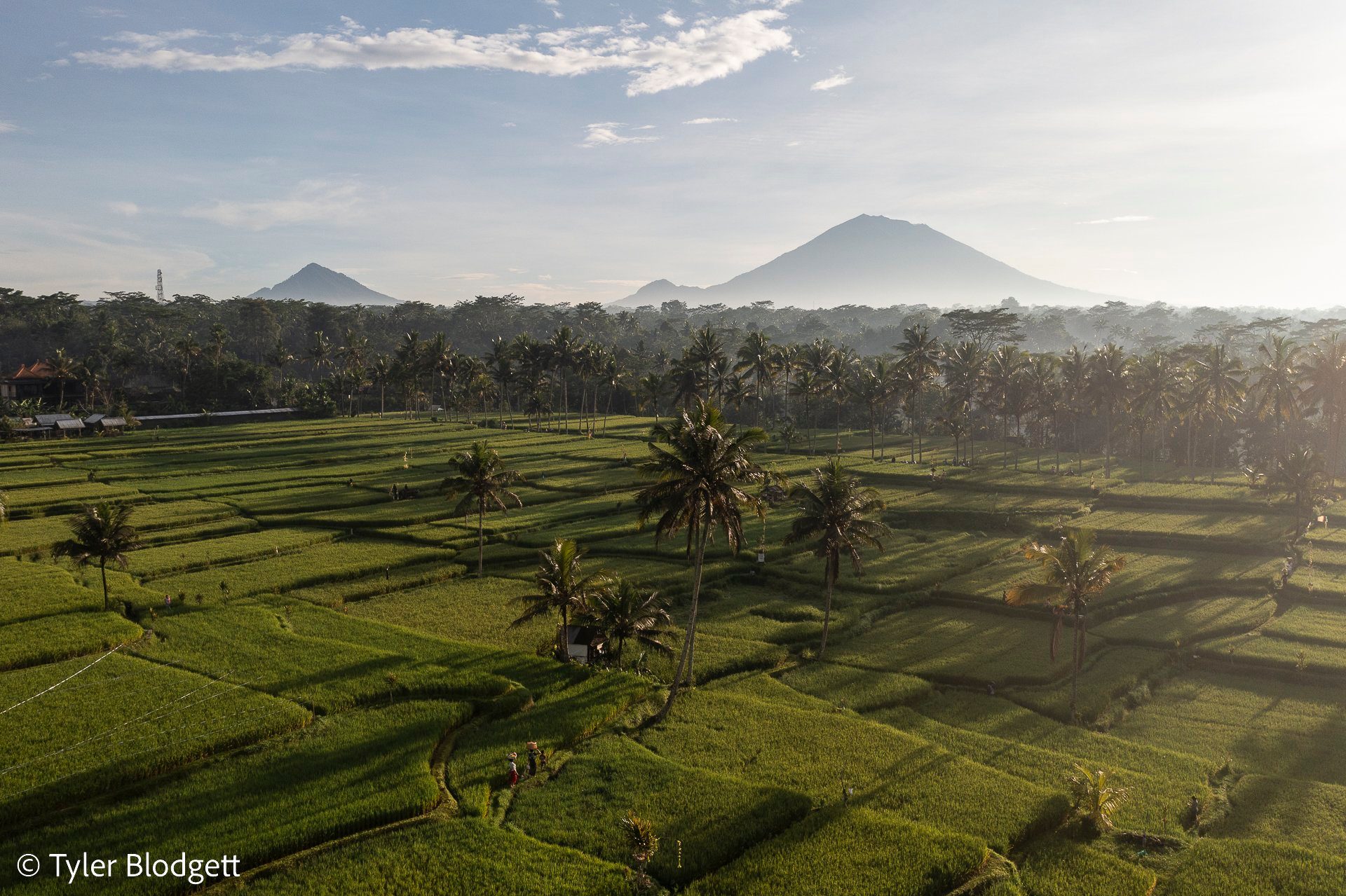 Morning light rakes across the rice fields, and the mountain rises clean above the haze.