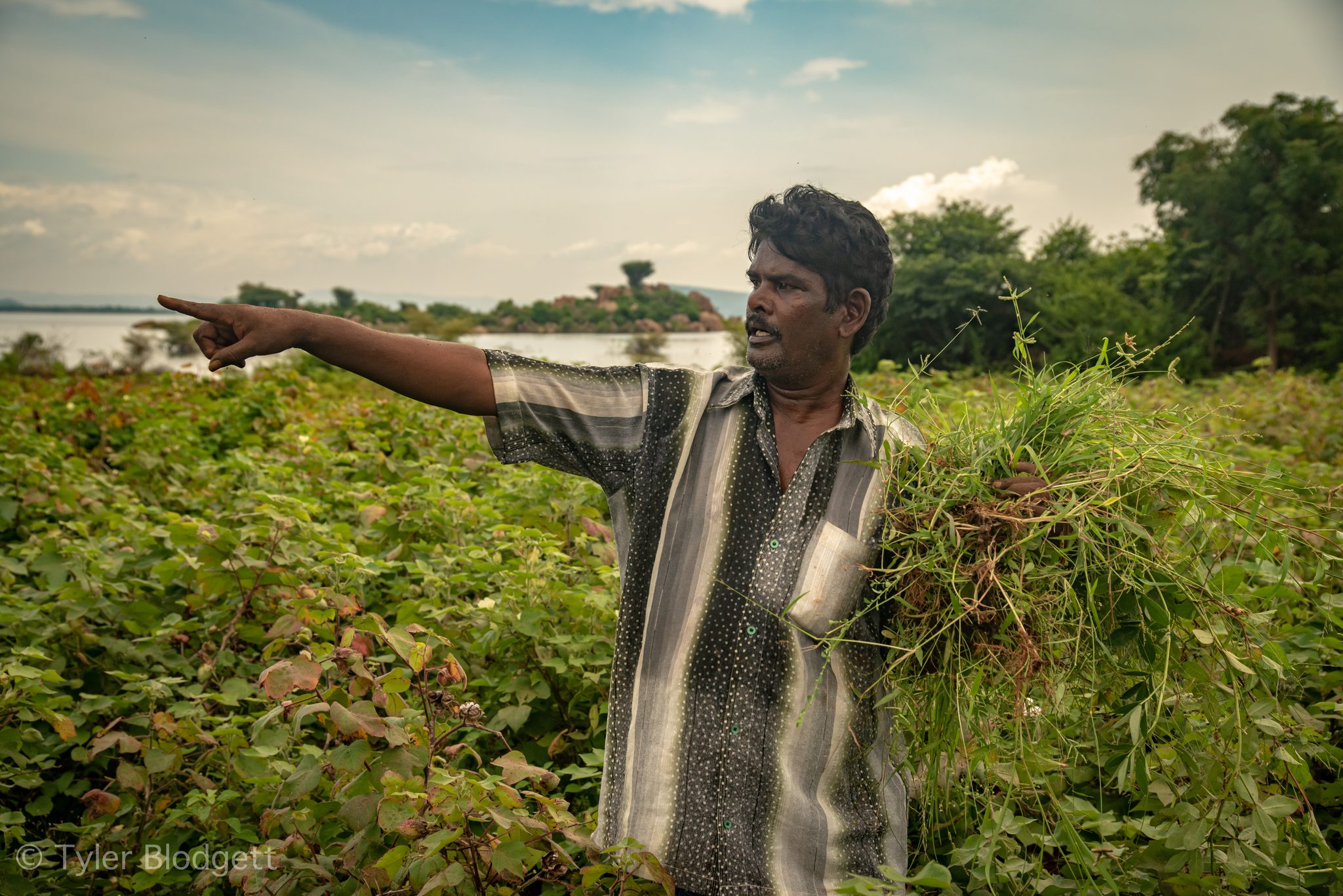 A farmer points out across the field, an armful of grass under his arm.