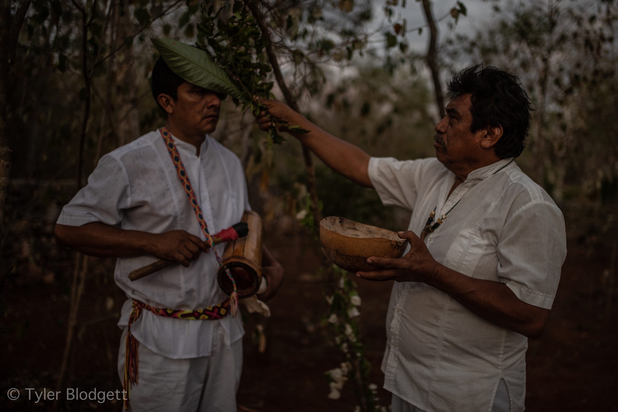 Two men in white hold the offerings as one reaches up into the branches.