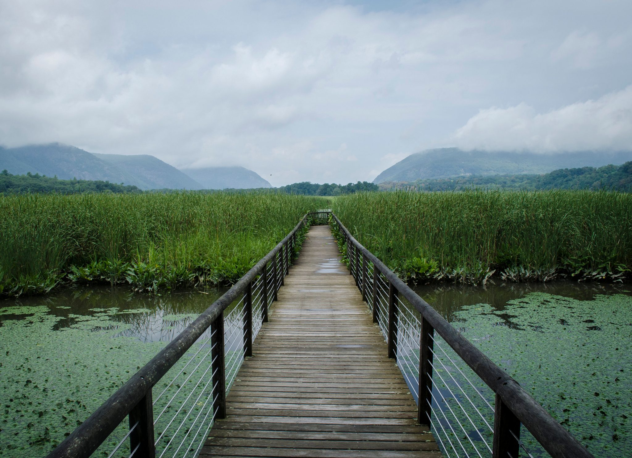 A boardwalk runs out through the marsh toward the mountains.