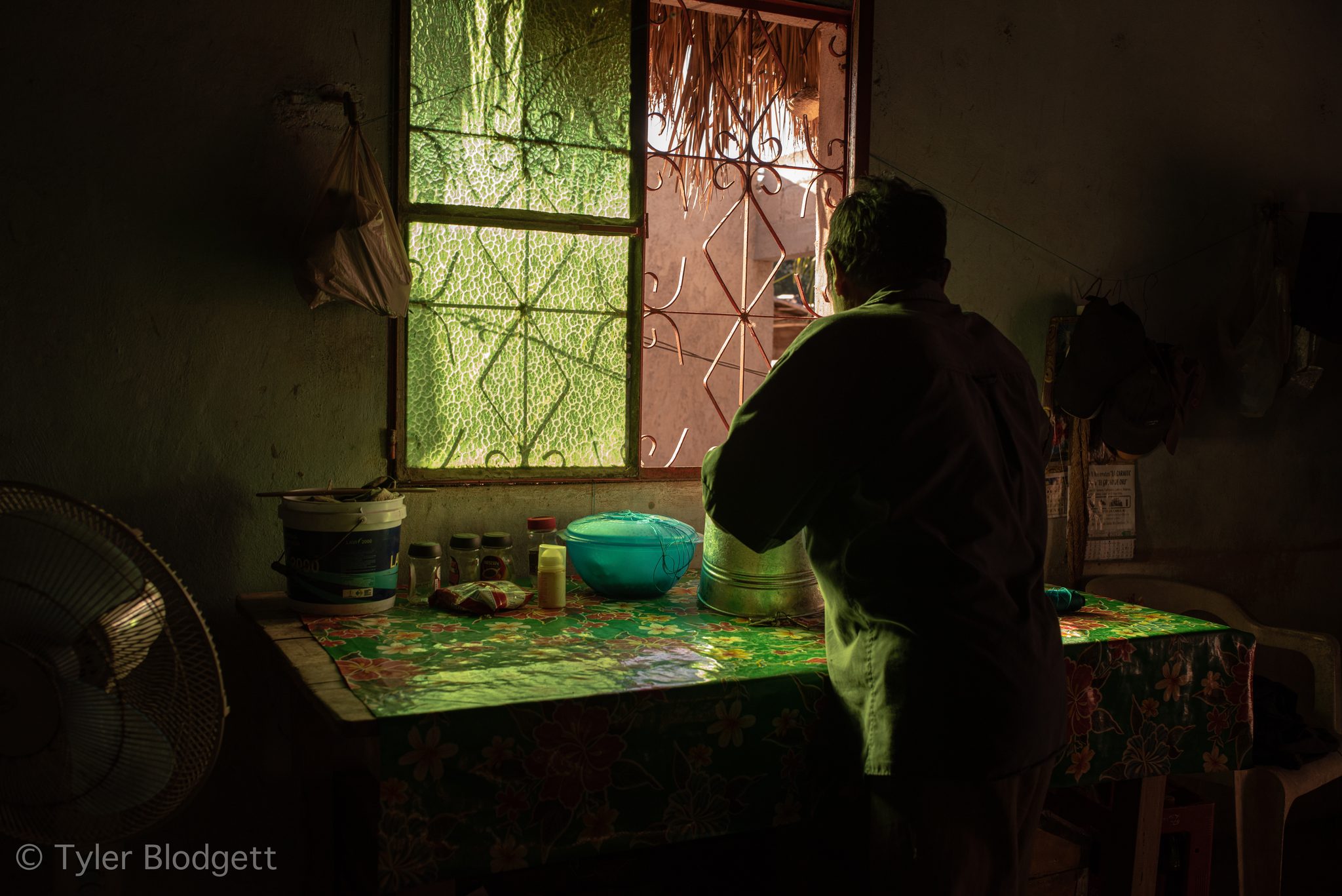 A man stands at the green-lit window of his kitchen.