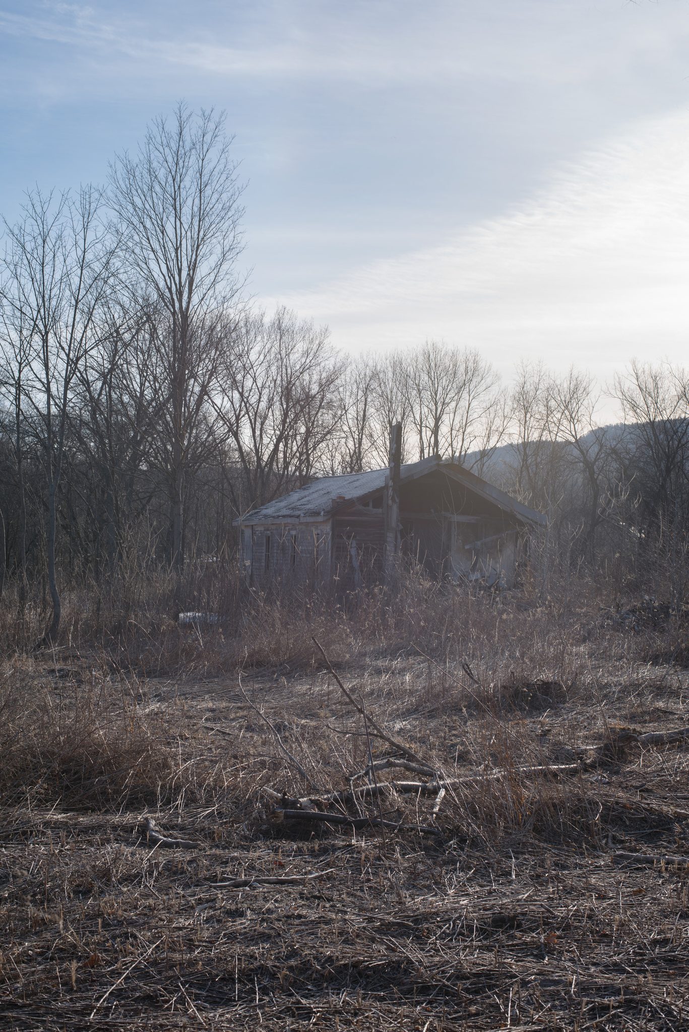 An abandoned barn slumps in a field of dry grass beneath bare trees.