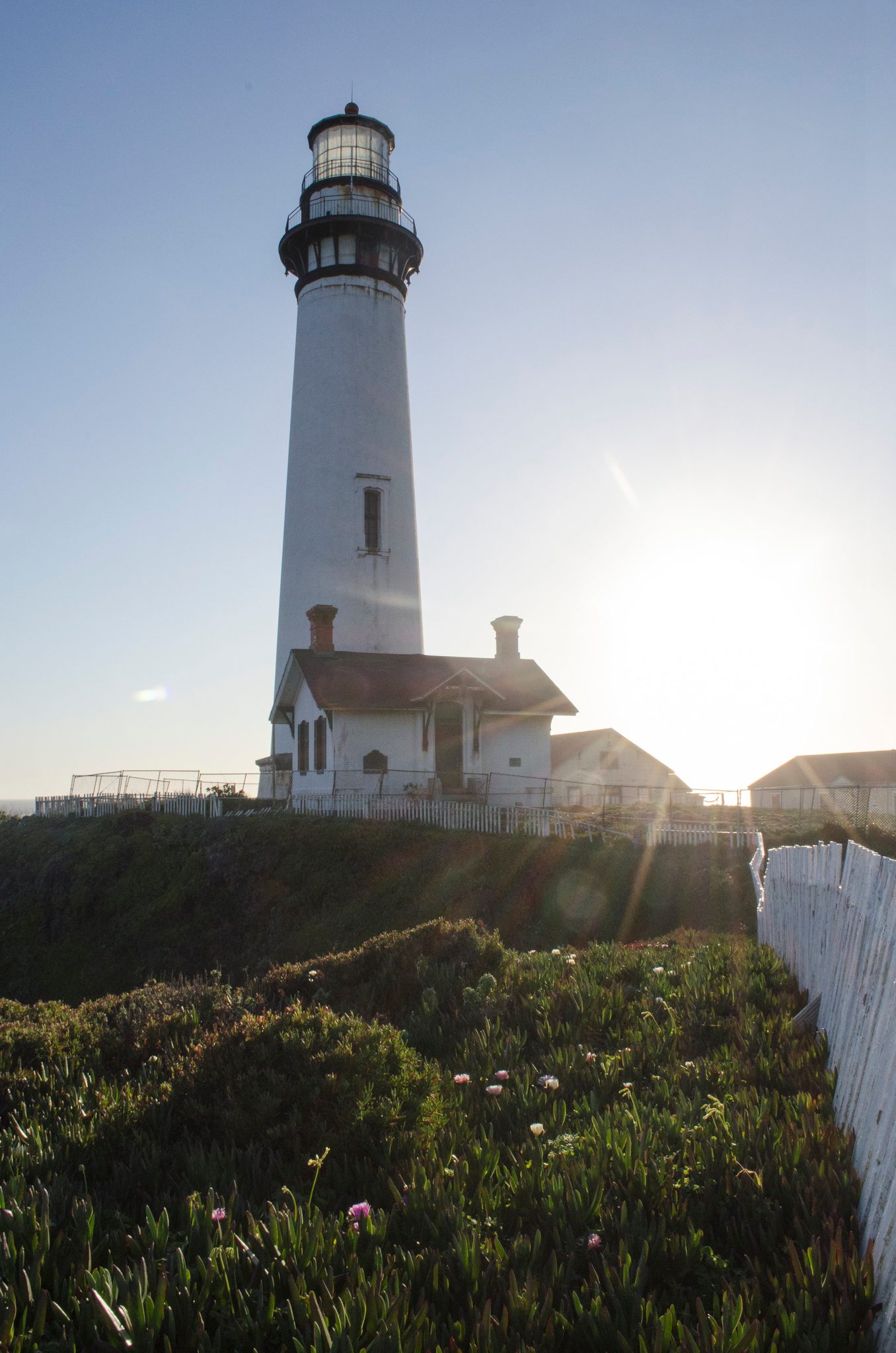 Pigeon Point Lighthouse at sunset.