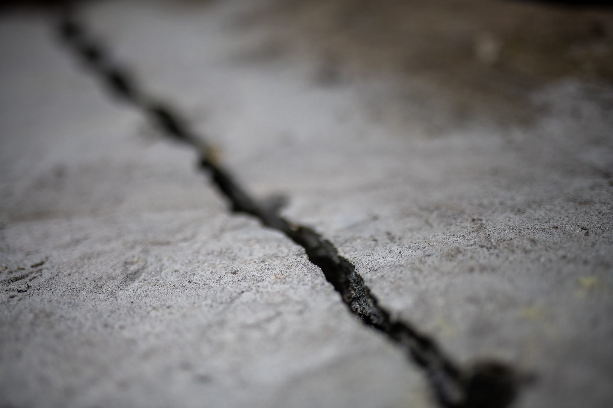 The crack traced in shadow across the gray rock.