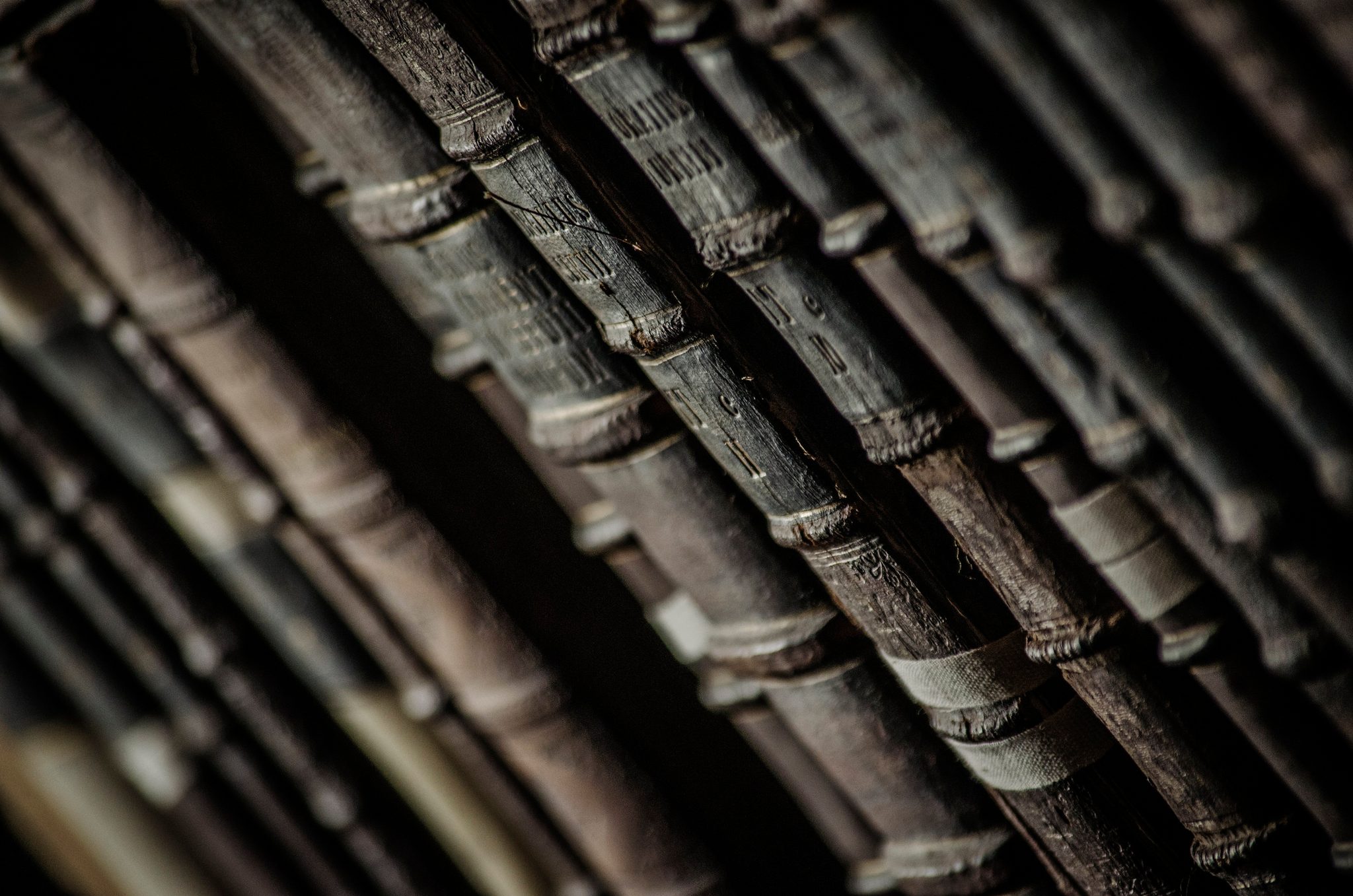 Rows of leather-bound spines, worn and tooled, lean in the dim light.