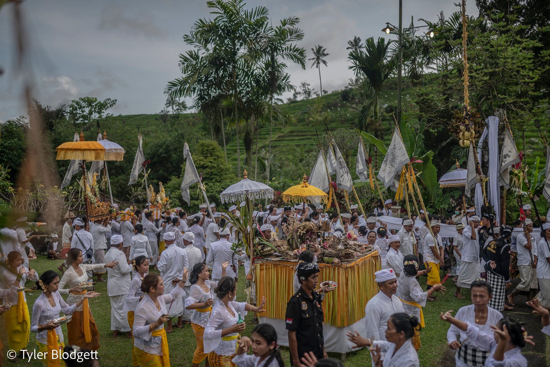 The courtyard fills with white and gold, rice terraces climbing the hill beyond the temple.