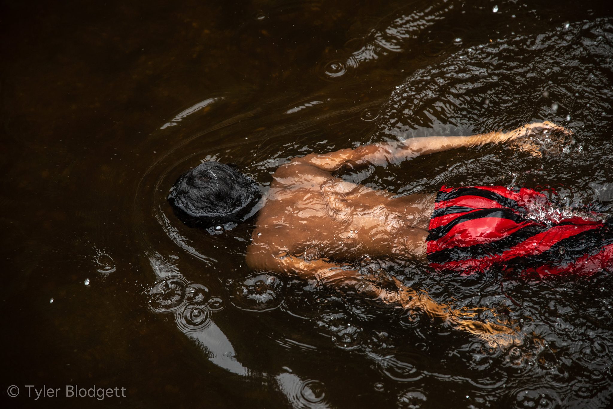 A boy swims face down through the dark water, his red shorts the brightest thing in the river.