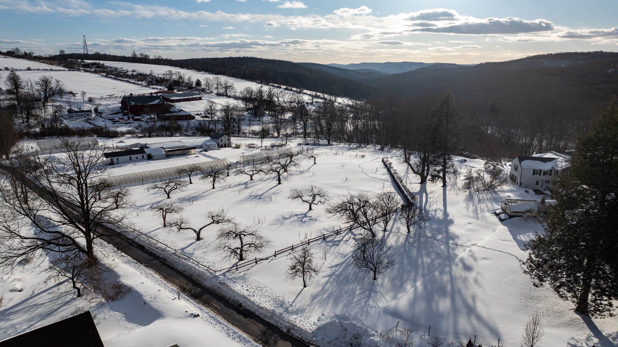 From above, the orchard's bare trees throw long shadows across the snow.