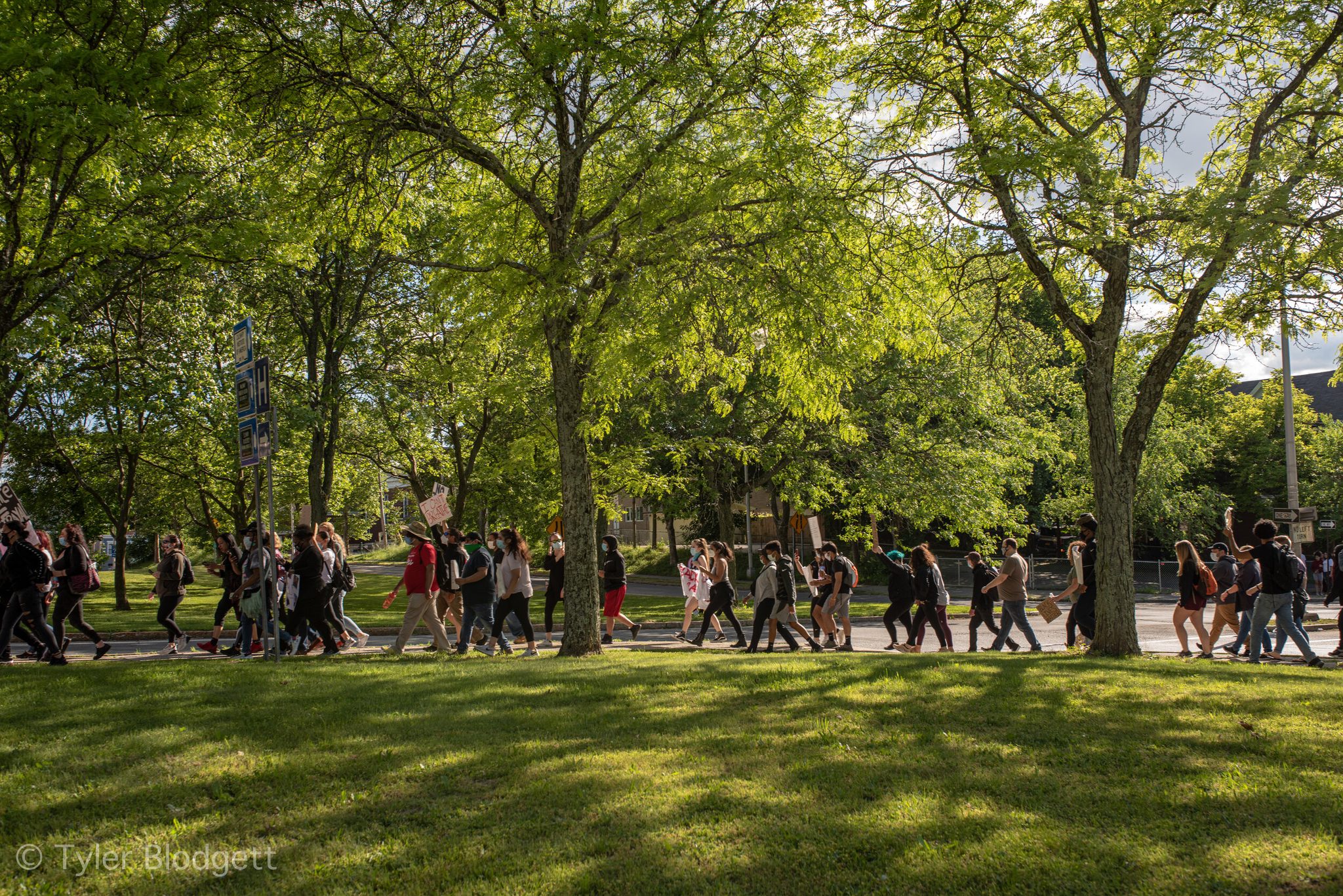 The march stretches the length of the park, one long line of people beneath the new green of the trees.