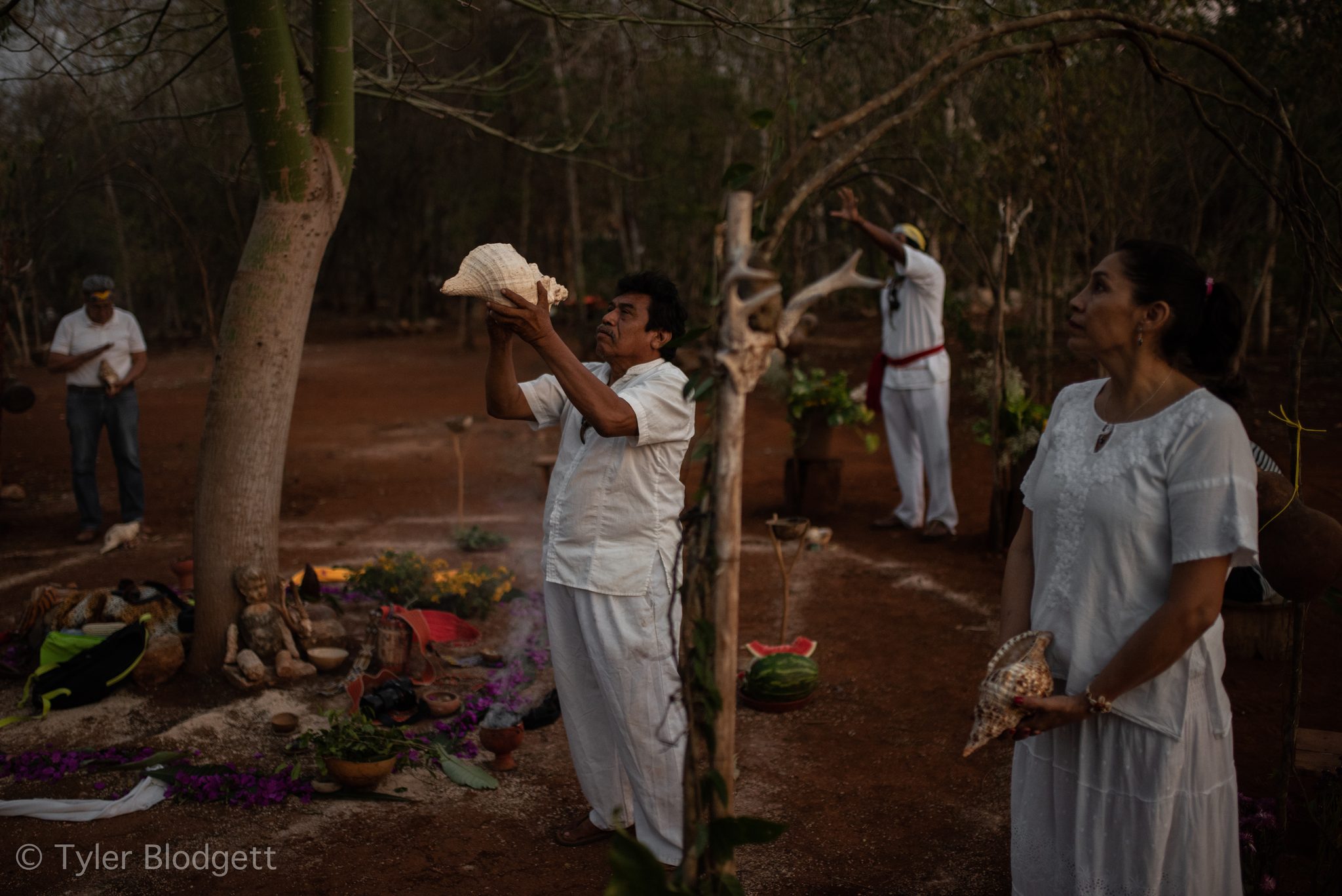 The conch shells sound together as the ceremony opens in the forest.