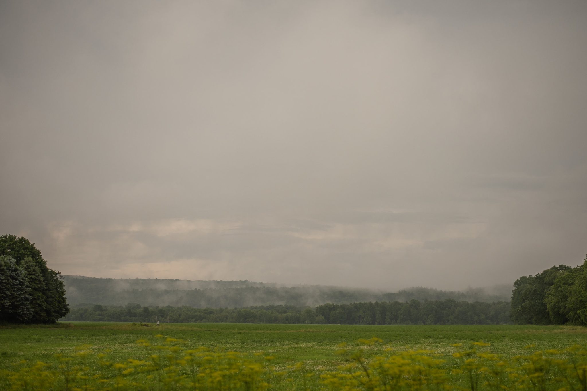 Rain moves across the valley, the hills disappearing into gray.