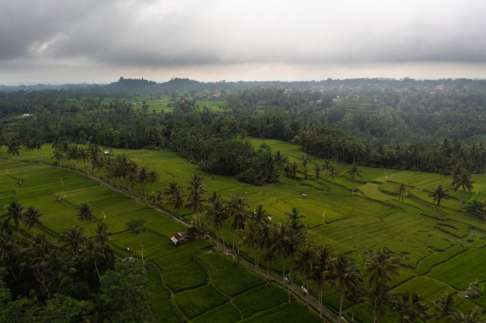 The terraces fall away under a heavy gray sky.