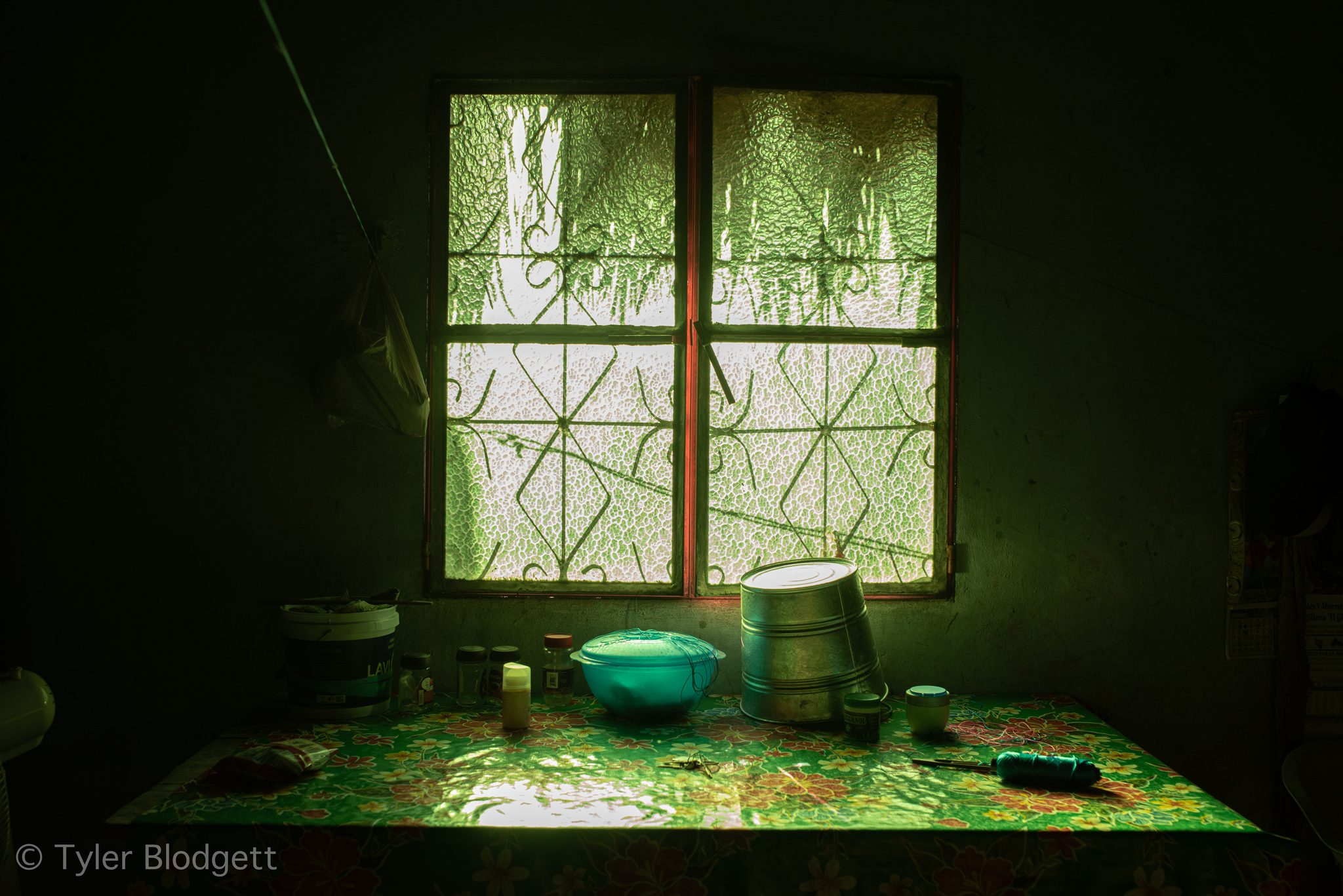 Green light pours through a window onto the kitchen table.