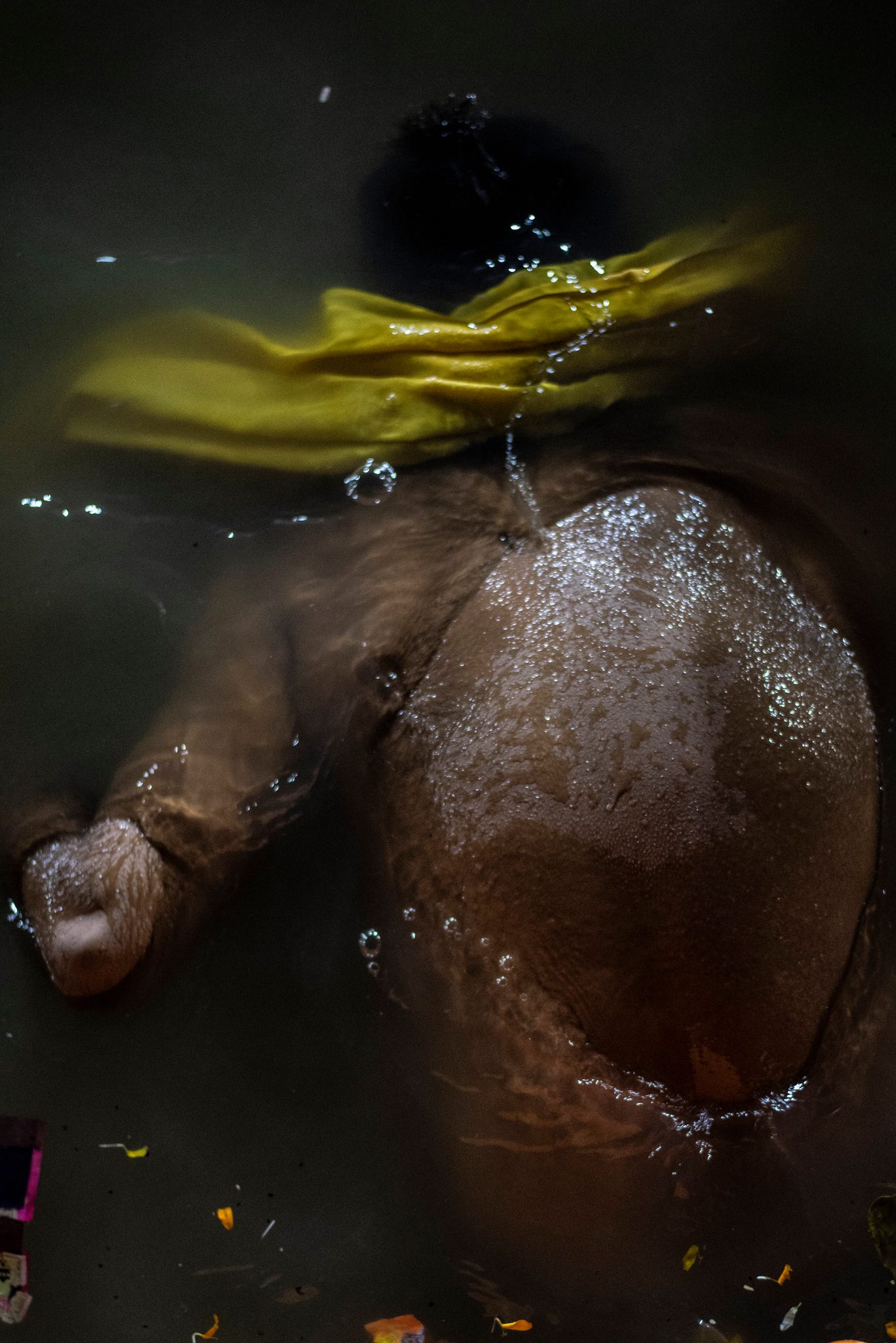 Body floats seemingly lifeless in the Ganges for several minutes