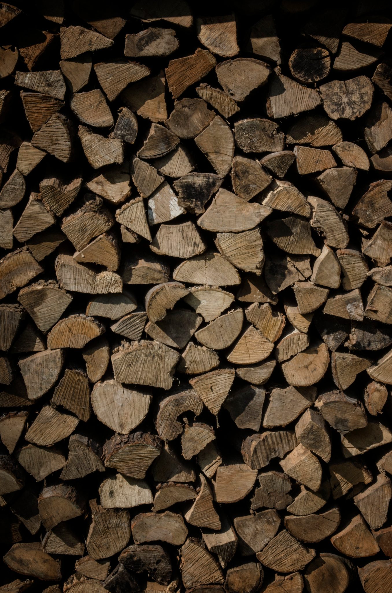 Split firewood stacked for the winter.