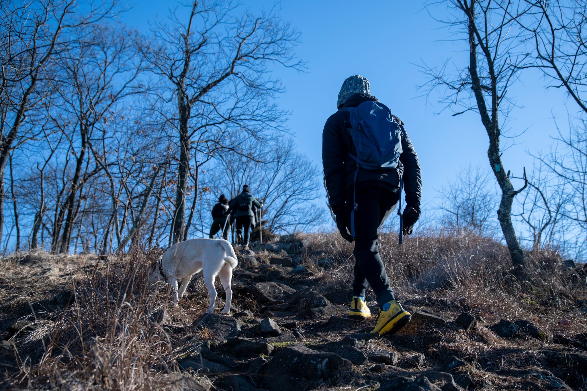 Pack on, dog at his heel, Chev heads up the rocky trail after the hikers ahead.