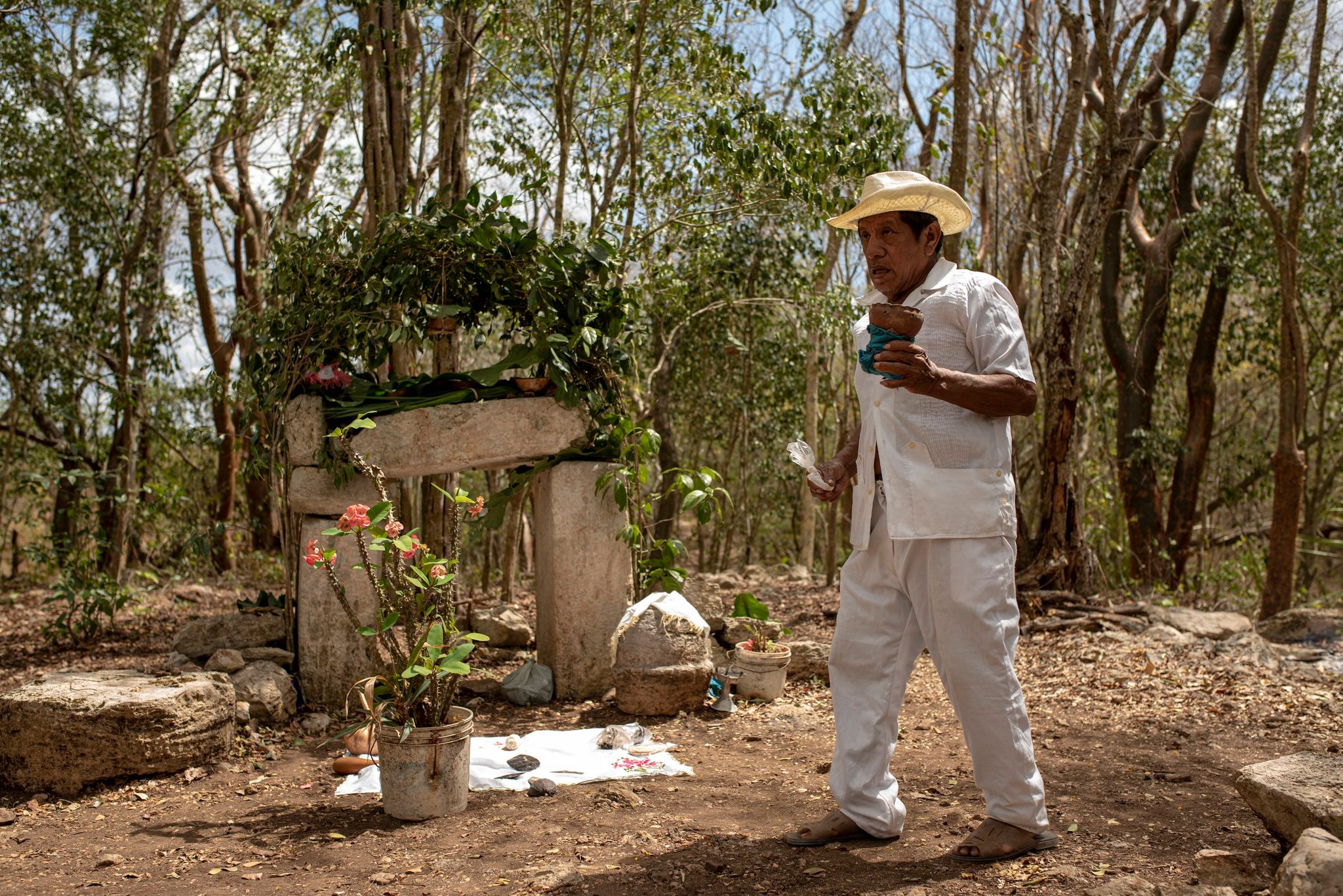 An elder in a straw hat walks past a stone altar dressed in fresh leaves and flowers.