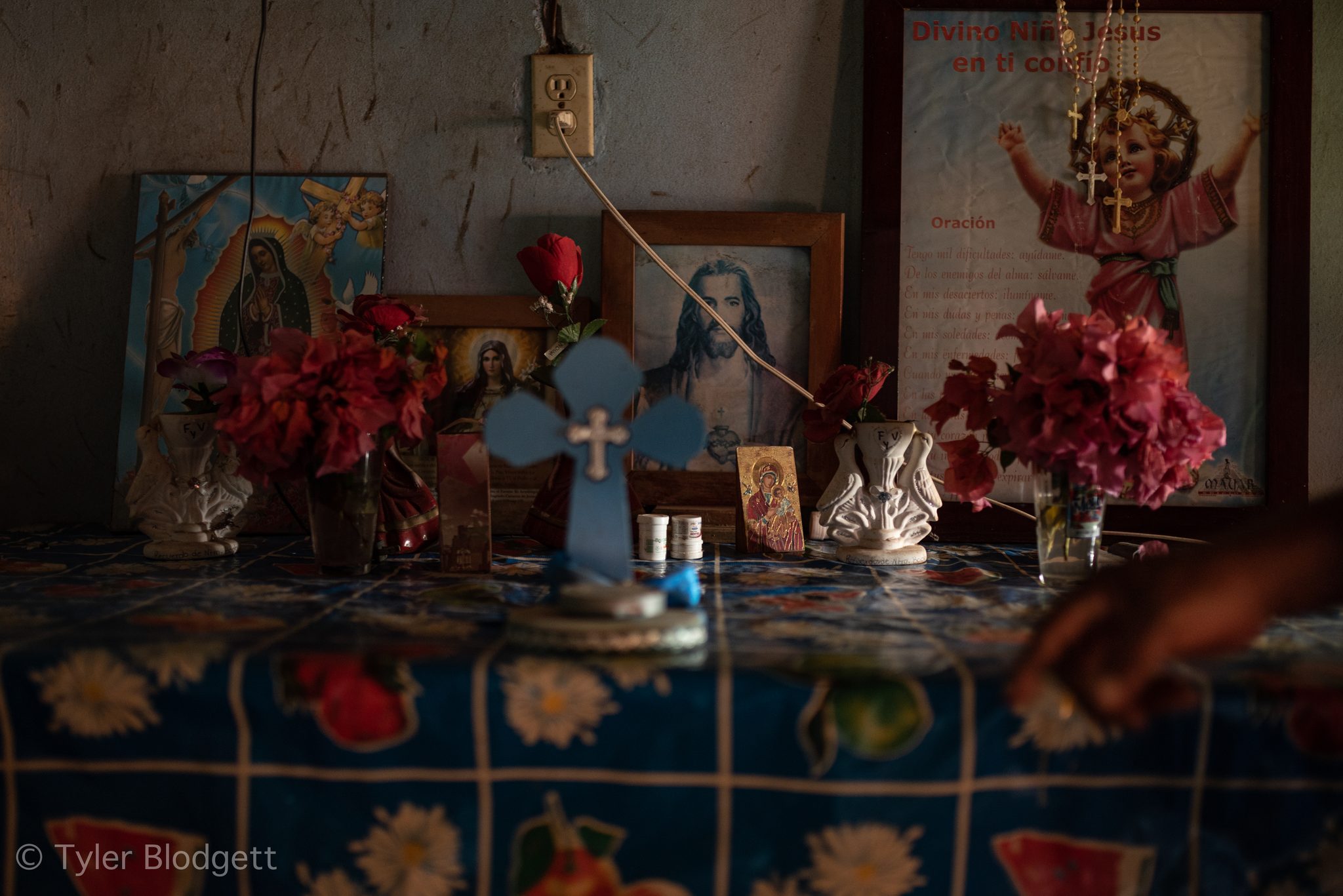 A home altar holds the Virgin of Guadalupe, Christ and a blue cross among the flowers.