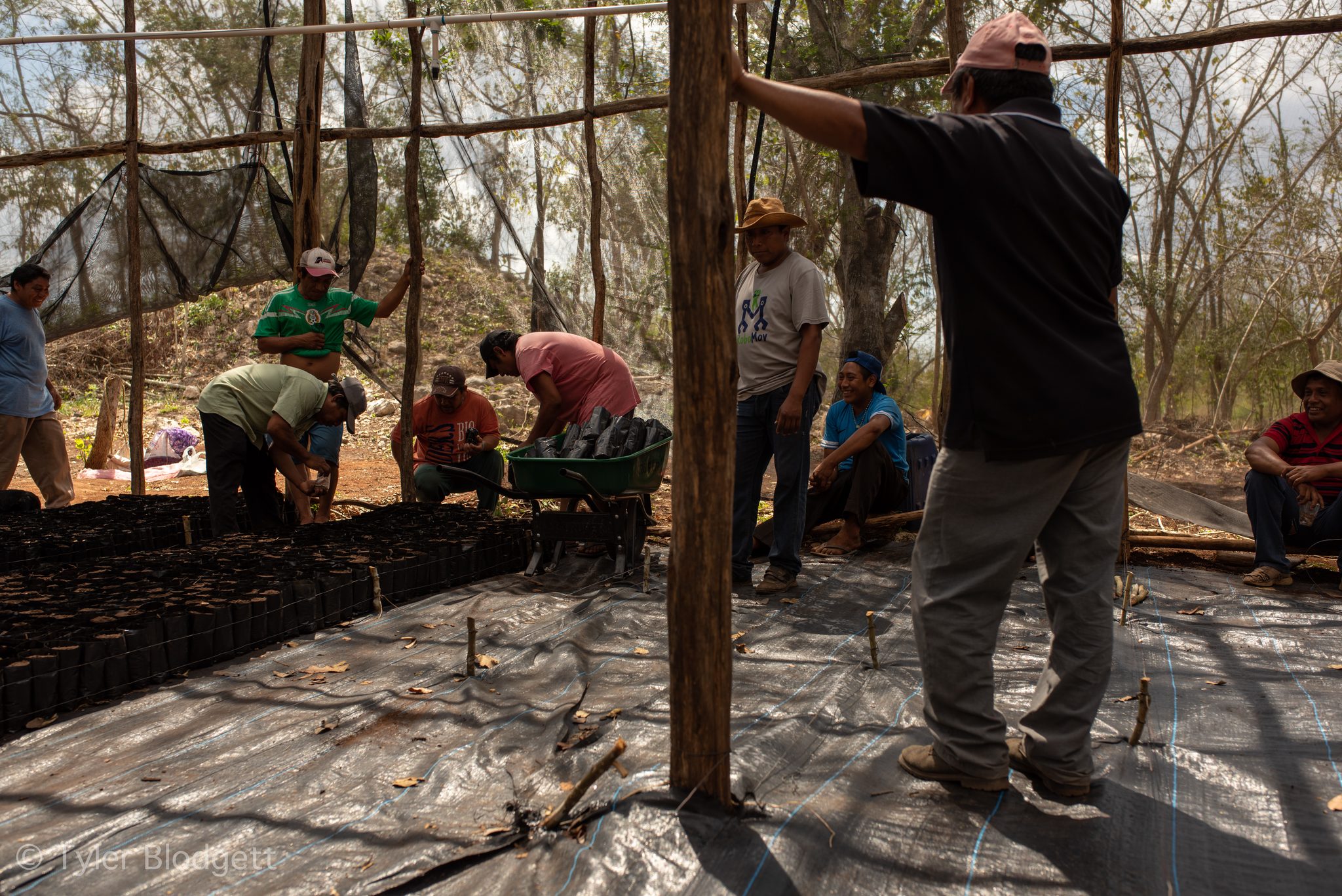 Under the shade frame, the crew fills black bags with soil for the seedlings.