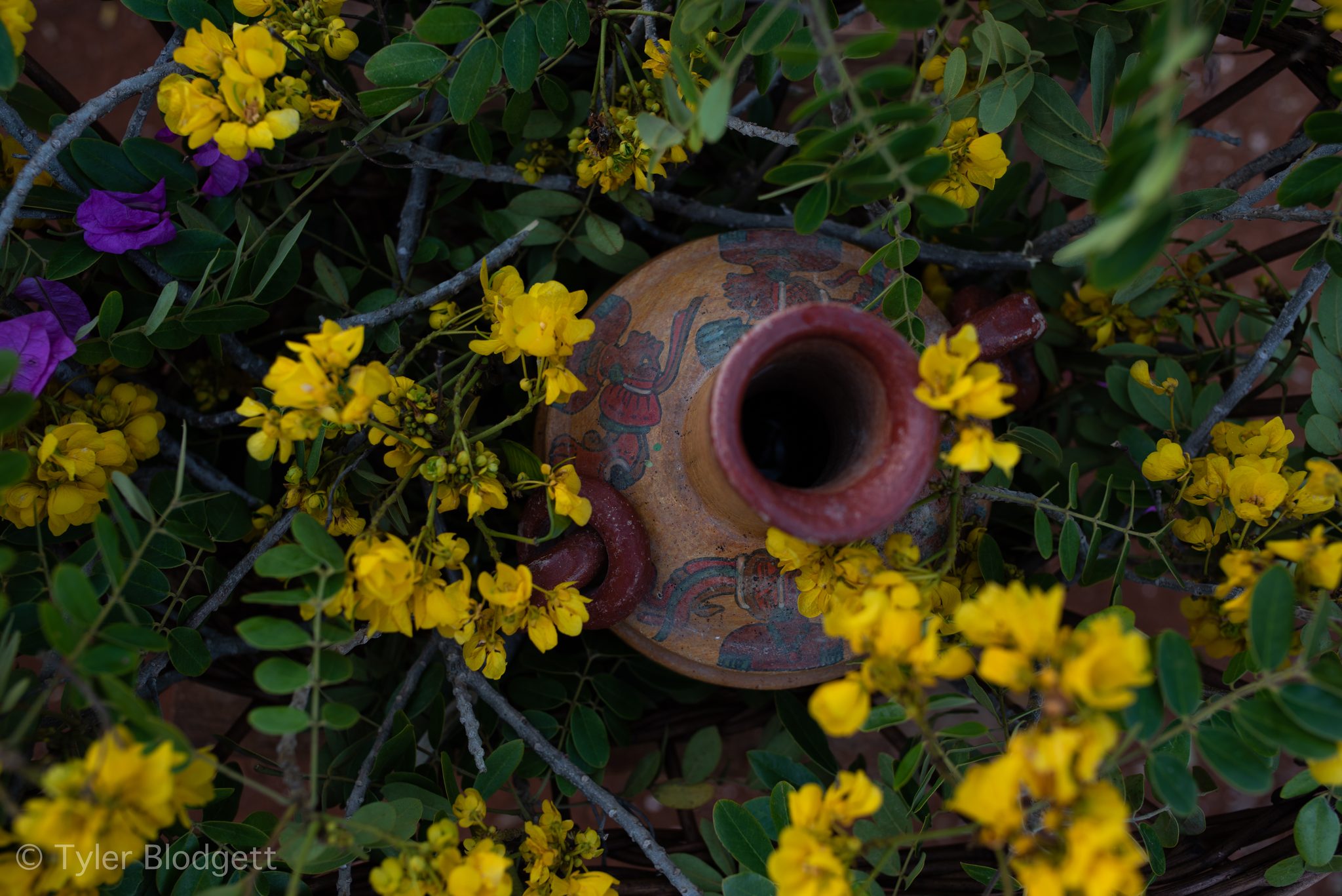 A painted clay vessel rests among yellow blossoms and purple flowers.
