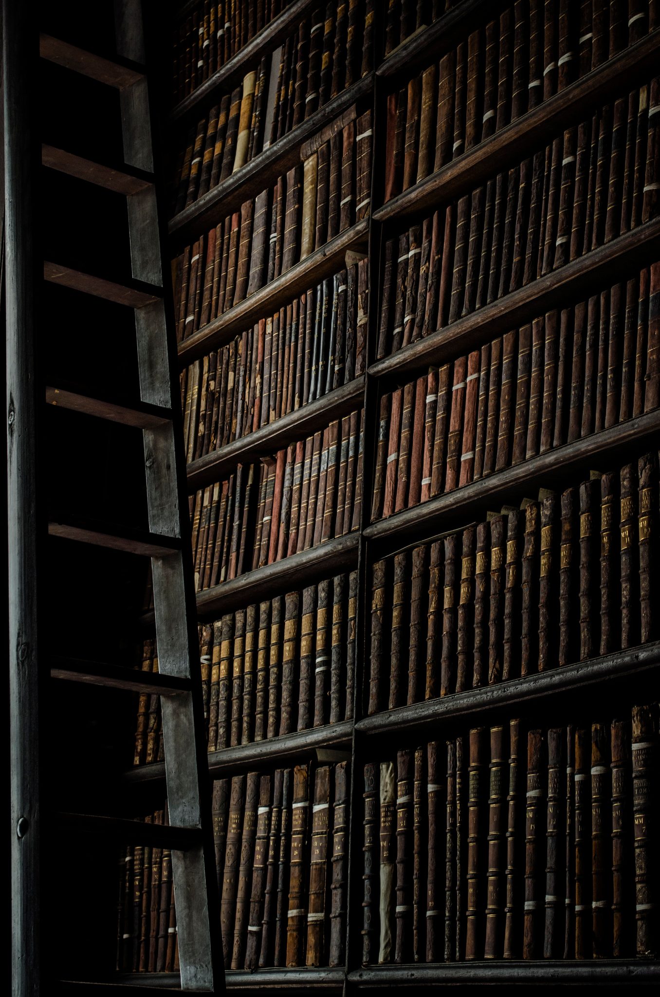 A wooden ladder leans against floor-to-ceiling shelves of old books.