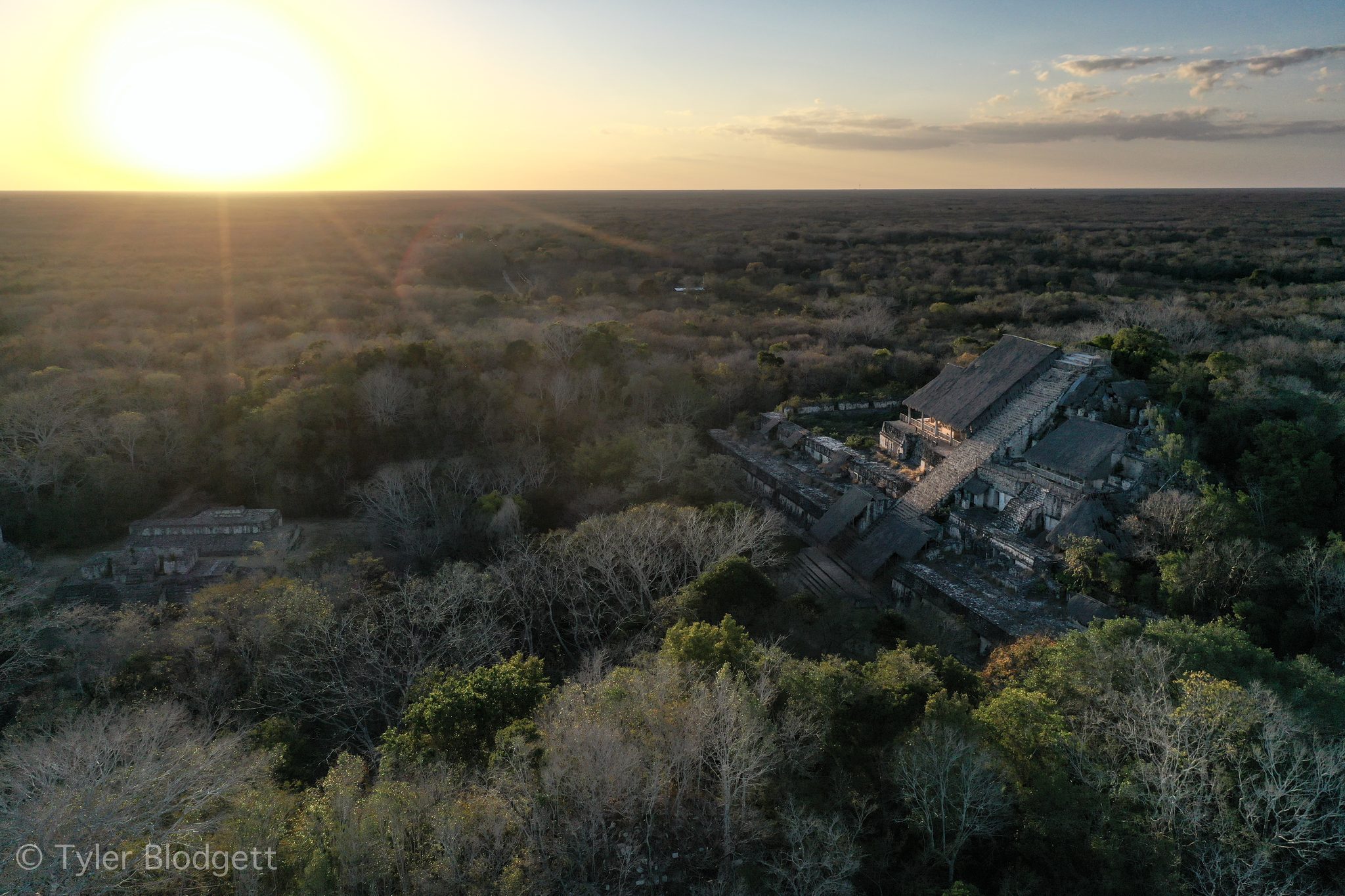 Golden light spills across the forest and the ruins below.