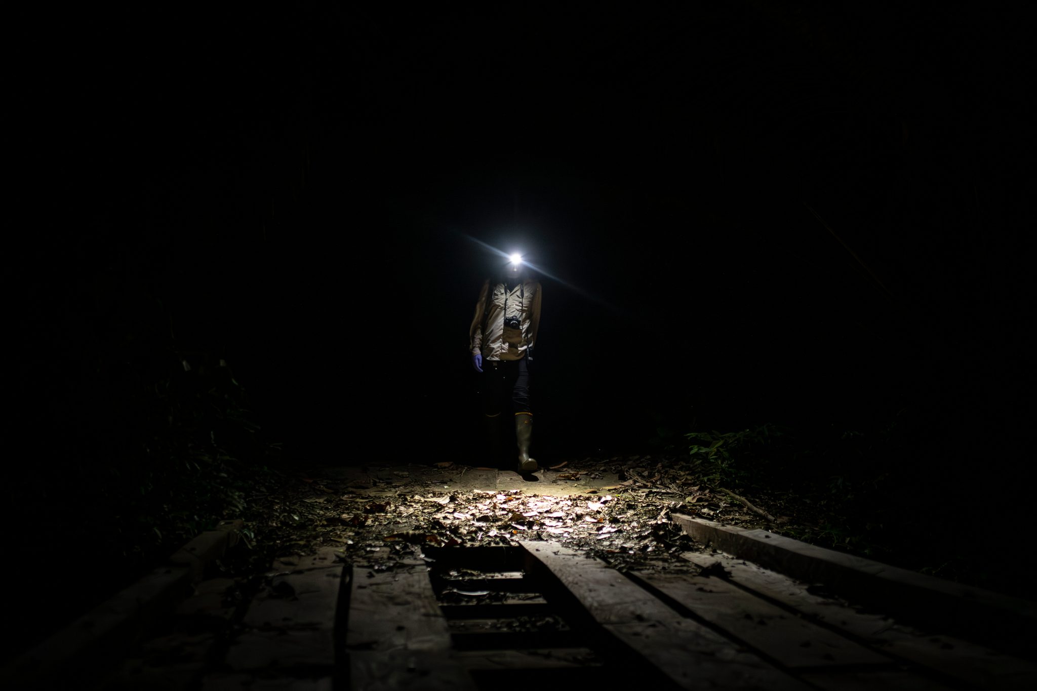 A single headlamp on the plank footbridge, the forest black around it.