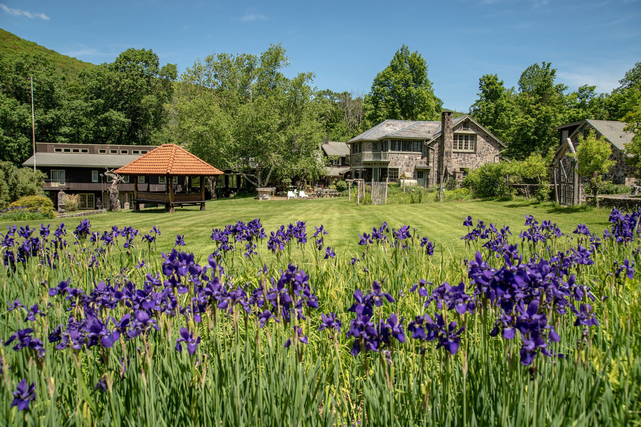 Purple iris spills across the lawn toward a cluster of stone buildings at the foot of the hill.