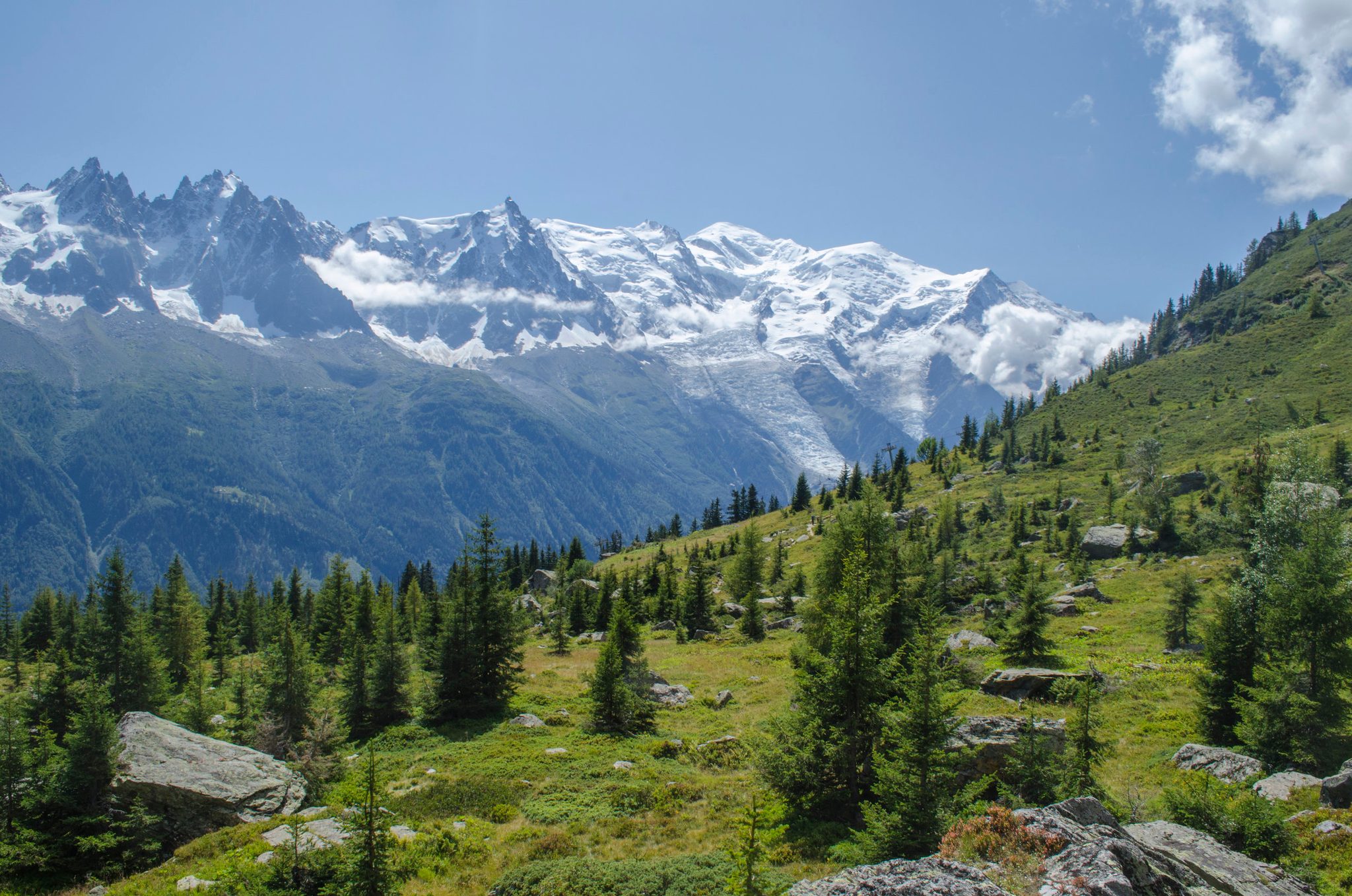 Glaciers and jagged peaks rise beyond a green alpine slope in the French Alps.